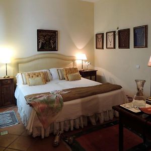 Suite Familiar Deluxe